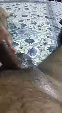 desi pb02 online show from September 11, 2:28 pm