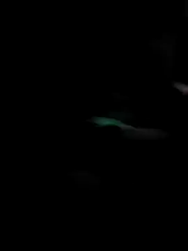 GoldenPastry20 online show from February 9, 5:17 pm