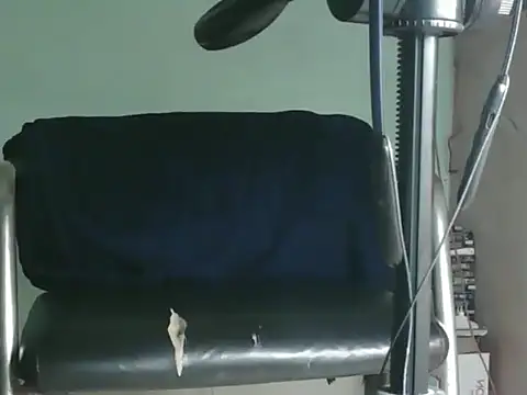 PreetyKitten online show from November 8, 1:55 pm