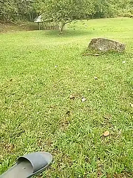 Snapshot of Mycansonhot chatting on October 23, 4:50 pm Mycansonhot online show from October 23, 4:50 pm