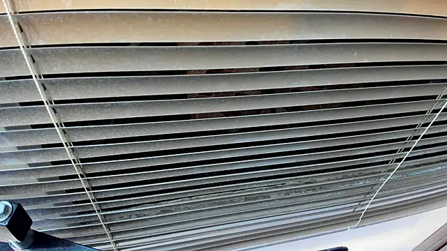 Snapshot of SaraClub_JY chatting on October 21, 10:43 pm SaraClub JY online show from October 21, 10:43 pm