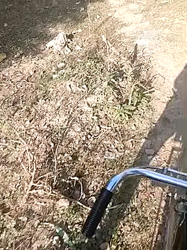 bairobunde online show from February 7, 4:16 am