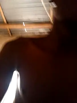 lilpip online show from February 15, 9:08 am