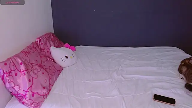 hellokitty  valery online show from October 26, 3:45 am