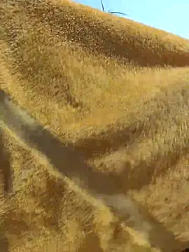 Tocameamor online show from February 21, 9:05 pm