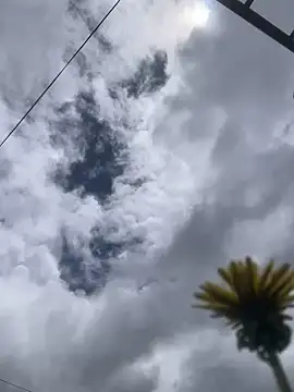 MaxxxSteil online show from November 12, 3:56 pm