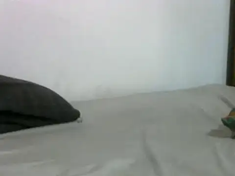 sissydinu online show from March 17, 5:12 am