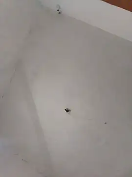 Perick72 online show from March 8, 3:13 pm