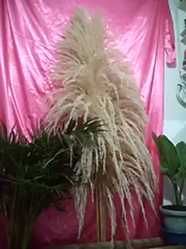 John los666 hot online show from April 11, 7:45 am