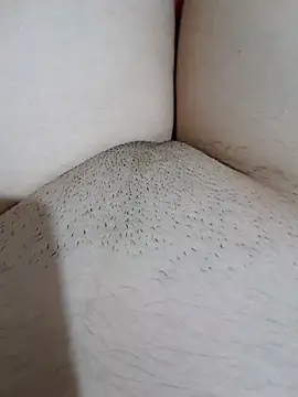 yakot7 online show from October 31, 12:11 am