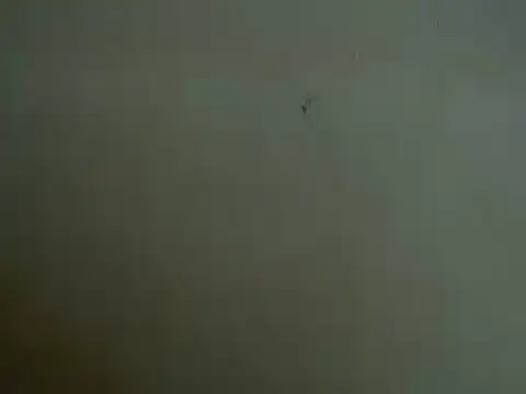 mayra89 online show from March 29, 8:25 am