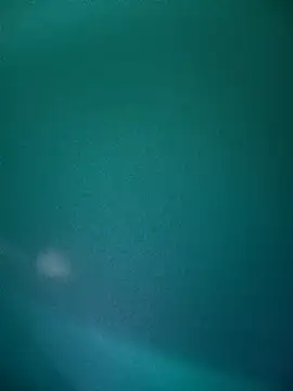 Snapshot of Neha-Bhabhi-Rasily chatting on December 2, 10:31 am Neha-Bhabhi-Rasily online show from December 2, 10:31 am