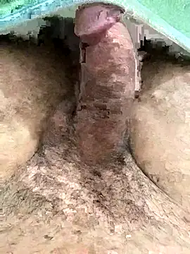 Snapshot of Iliase chatting on November 15, 9:17 am Iliase online show from November 15, 9:17 am