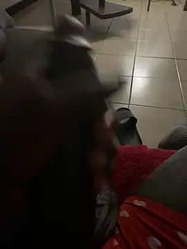 Snapshot of Goodball88 chatting on February 28, 3:07 am Goodball88 online show from February 28, 3:07 am