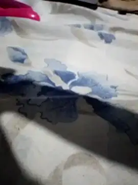 Sandra42 online show from November 14, 9:52 am