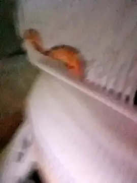 patrona sexooo online show from October 11, 12:58 pm