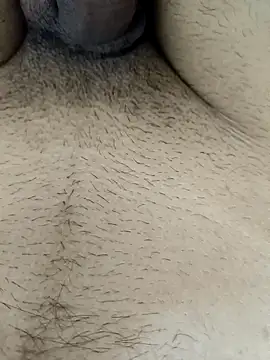 Jaipuri Boy online show from March 17, 4:40 am