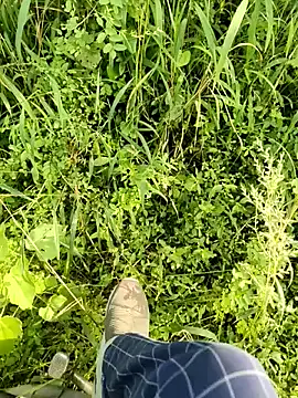 himvilohi08 online show from October 11, 10:03 am