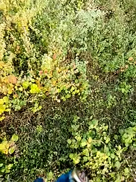 himvilohi08 online show from December 4, 2:43 am