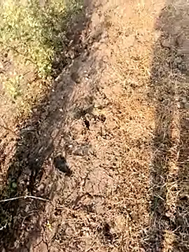 Snapshot of himvilohi08 chatting on February 28, 3:07 am himvilohi08 online show from February 28, 3:07 am