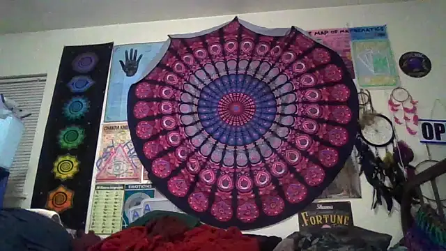 GardeniaFields online show from March 20, 9:36 am