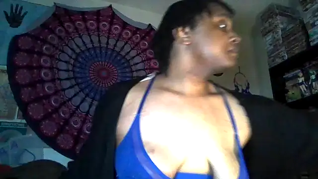 GardeniaFields online show from April 2, 11:30 am