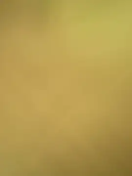 val zx online show from April 24, 1:57 pm