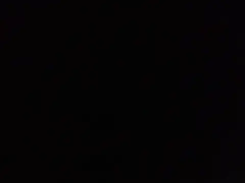 SavagesGN online show from February 3, 8:58 pm