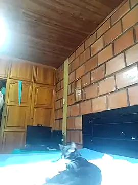 Snapshot of Lady_Lolla11 chatting on December 16, 4:23 pm Lady Lolla11 online show from December 16, 4:23 pm