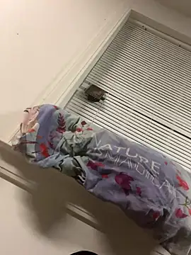 YAHIRALEJANDRIIIIII online show from October 7, 6:54 am