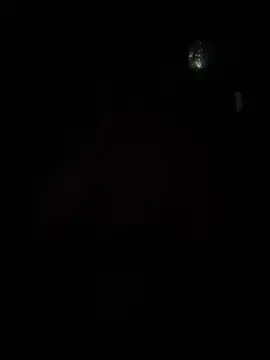 Hugo34bg online show from February 13, 5:42 pm