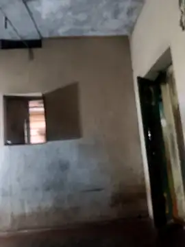 PolarFriend0 online show from February 17, 12:56 pm