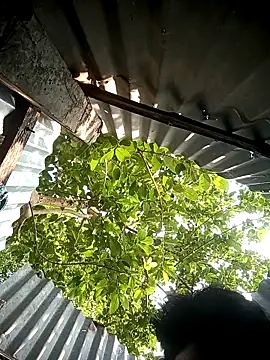 Ayush pussy fucker online show from May 7, 9:58 am