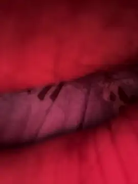 Barbonguapo69 online show from March 14, 12:32 am