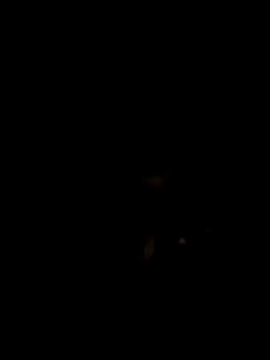 Snapshot of John96999 chatting on March 16, 12:12 am John96999 online show from March 16, 12:12 am