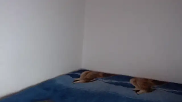 Snapshot of sharon_sexy_ chatting on November 23, 8:41 pm sharon sexy online show from November 23, 8:41 pm