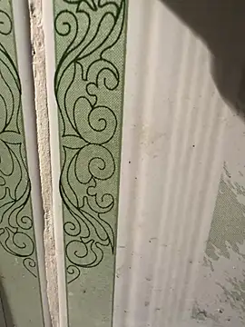 dilu98 online show from March 18, 1:42 pm