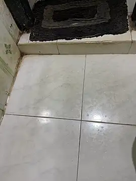 dilu98 online show from December 21, 2:08 am