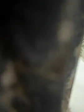 dilu98 online show from February 21, 2:01 am