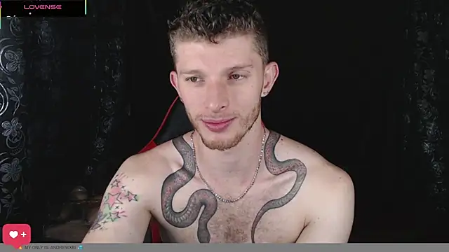 andrewxbi online show from February 2, 12:15 pm