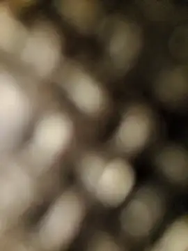 Snapshot of geilerschwanz556r7 chatting on September 30, 8:52 am geilerschwanz556r7 online show from September 30, 8:52 am