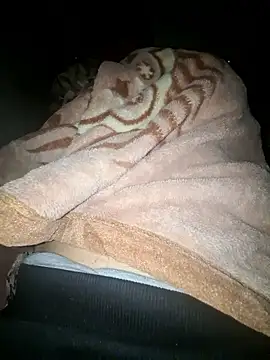 amirzinou online show from October 26, 10:58 pm