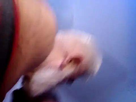 CloudyMuscleBeefy online show from November 26, 5:58 pm