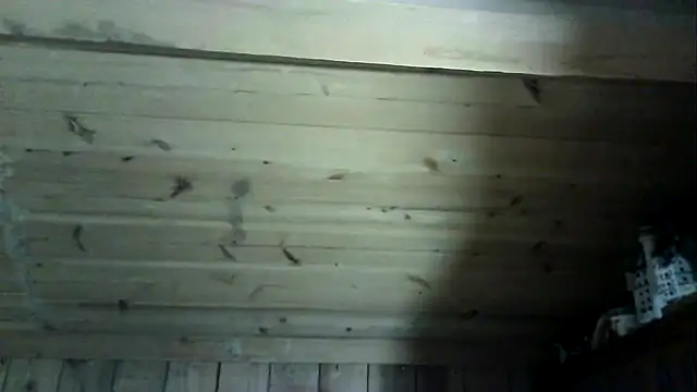 Angelsordemons6 online show from March 4, 8:26 pm