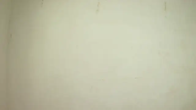 Snapshot of SelenaKayle chatting on October 24, 4:14 pm SelenaKayle online show from October 24, 4:14 pm