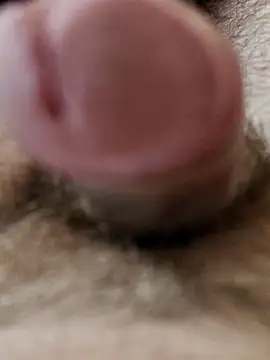 usedseller online show from April 4, 9:29 am