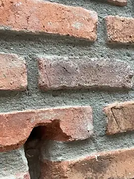 Jacksonfranco online show from February 11, 10:59 pm