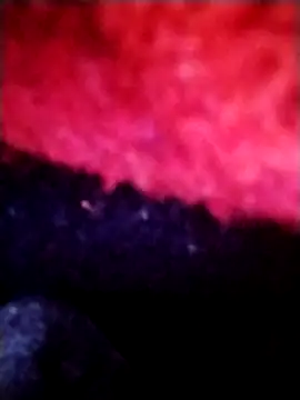 salimbasha online show from September 28, 12:27 am