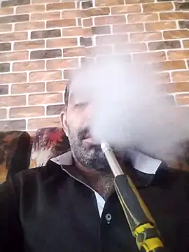 salimbasha online show from November 25, 9:20 am