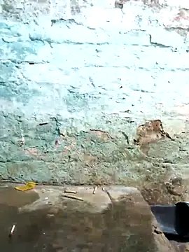 agra playboy online show from March 21, 1:05 pm